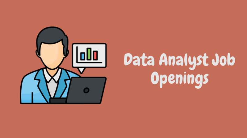 Data Analyst Job Openings